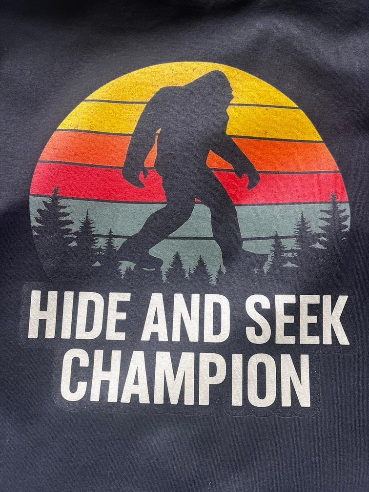 Hide and Seek Champion T-Shirt